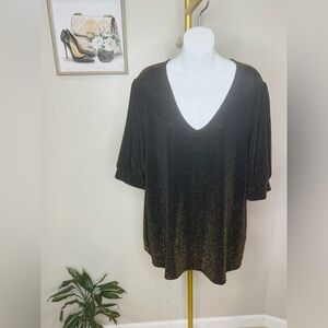 JM Collection Shimmering Brown Top